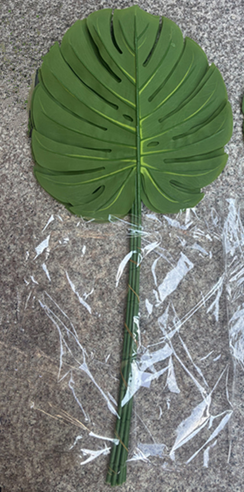 Extra-Long Monstera Leaf Stem, 2.3oz, 15"X17"X35" - Image 2