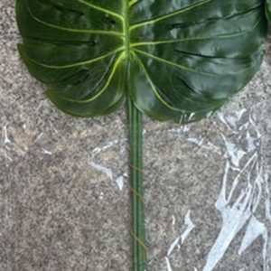 Extra-Long Monstera Leaf Stem, 2.3oz, 15"X17"X35"