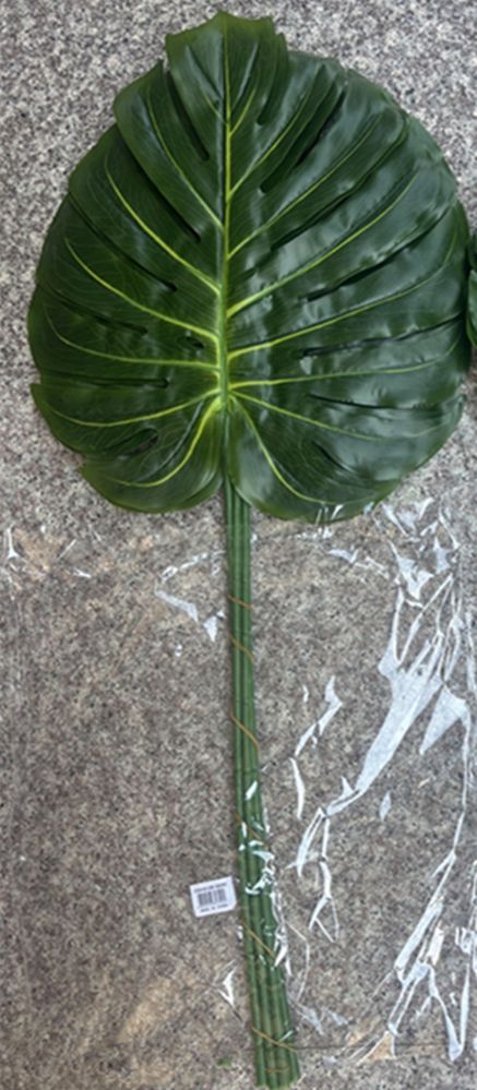 Extra-Long Monstera Leaf Stem, 2.3oz, 15"X17"X35"