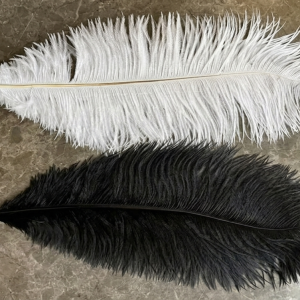 16" - 20" Feather
